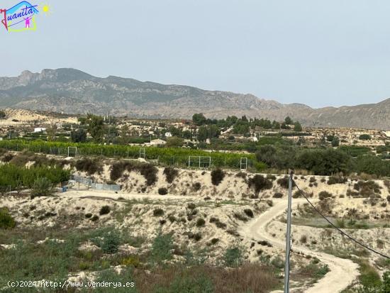 HUERTA EN LOS TOLLOS ( ARBOLEDAS ) - MURCIA