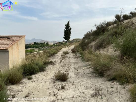 HUERTA EN LOS TOLLOS ( ARBOLEDAS ) - MURCIA