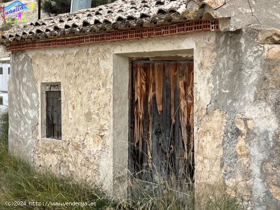 HUERTA EN LOS TOLLOS ( ARBOLEDAS ) - MURCIA