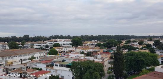 TERRENO EDIFICABLE - SEVILLA