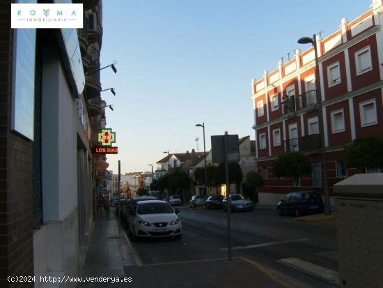 LOCAL EN BRUTO DE 780 M2. EN CALLE ISAAC PERAL - SEVILLA