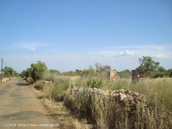 ¡Atención! Parcela rústica para construir unifamiliar de 135 m2 con piscina - BALEARES