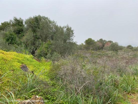 Porto Colom con vistas al mar, finca edificable - BALEARES