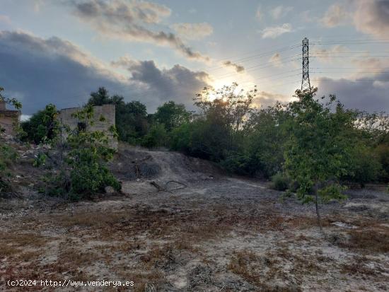 Buscando Terreno en Murcia?? - MURCIA