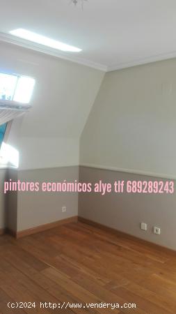 pintor economico en cubas de la sagra español . descuentos. 