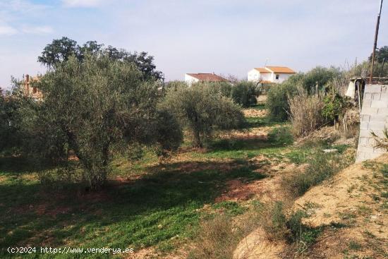  ¡Oportunidad única para invertir en un terreno urbanizable en una excelente ubicación! - GRANADA 