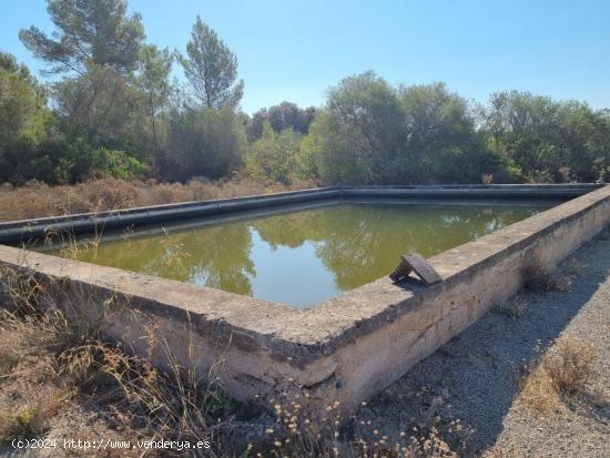 FINCA RUSTICA TOTALMENTE LEGALIZADA CON VISTAS PANORÁMICAS. - BALEARES