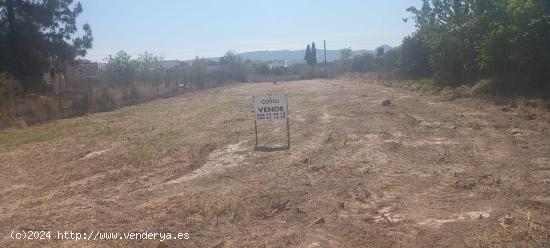 TERRENO RUSTICO EN JAVALI VIEJO - MURCIA