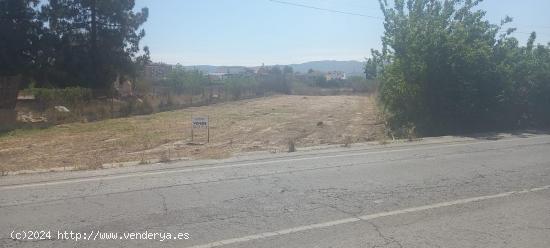 TERRENO RUSTICO EN JAVALI VIEJO - MURCIA