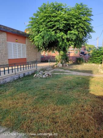 CASA DE 1 PLANTA EN BANYERES DEL PENEDES . - TARRAGONA