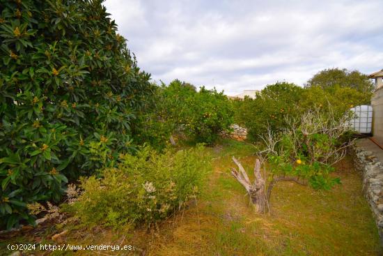 Terreno urbano  en Llubi - BALEARES