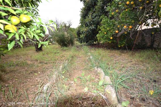 Terreno urbano  en Llubi - BALEARES