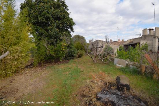 Terreno urbano  en Llubi - BALEARES