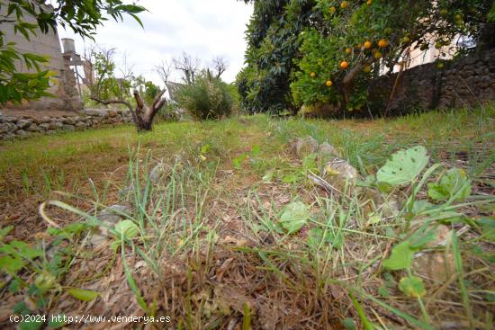 Terreno urbano  en Llubi - BALEARES