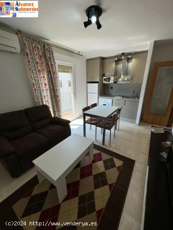 BONITO APARTAMENTO EN EL CENTRO DE GRANADA JUNTO CALLE RECOGIDAS - GRANADA