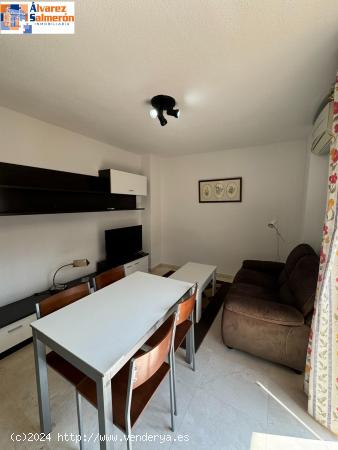 BONITO APARTAMENTO EN EL CENTRO DE GRANADA JUNTO CALLE RECOGIDAS - GRANADA