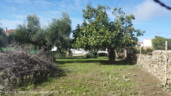 Estupenda parcela urbana en el centro de Aldea del Cano - CACERES