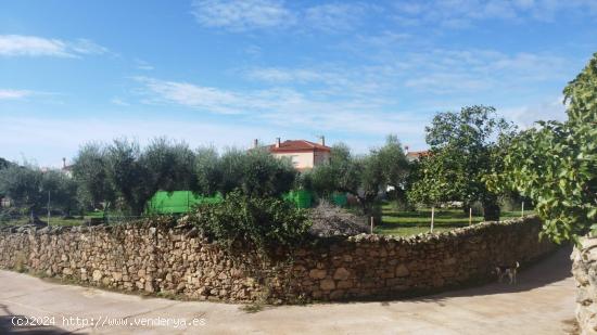 Estupenda parcela urbana en el centro de Aldea del Cano - CACERES