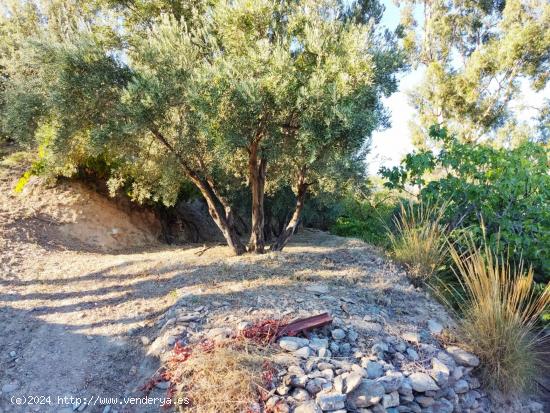 Finca con vista al pantano de Beznar - GRANADA