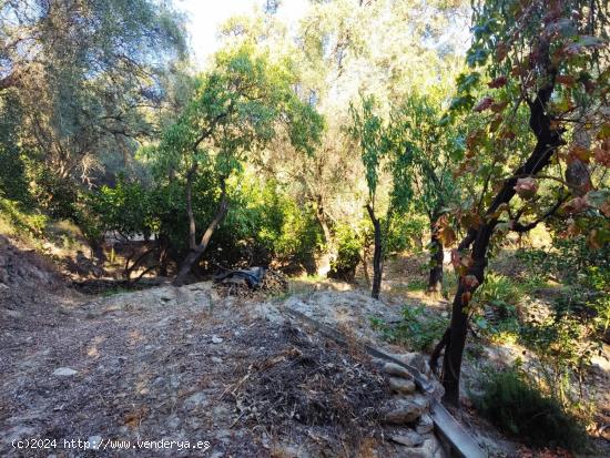 Descubre un Paraíso Natural en Esta Encantadora Finca con Vistas al Pantano de Beznar - GRANADA