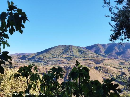 Descubre un Paraíso Natural en Esta Encantadora Finca con Vistas al Pantano de Beznar - GRANADA