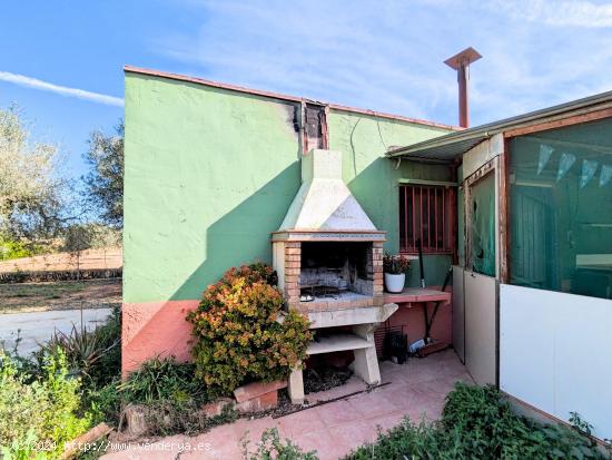  FINCA RUSTICA EN VENTA - TARRAGONA 