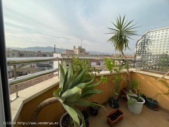 Alquiler de ático tipo dúplex en Puente Tocinos. - MURCIA