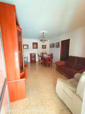 ZONA SEGUNDA AGUADA - CADIZ - ¡ 3 HABITACIONES CON TERRAZA ! - CADIZ