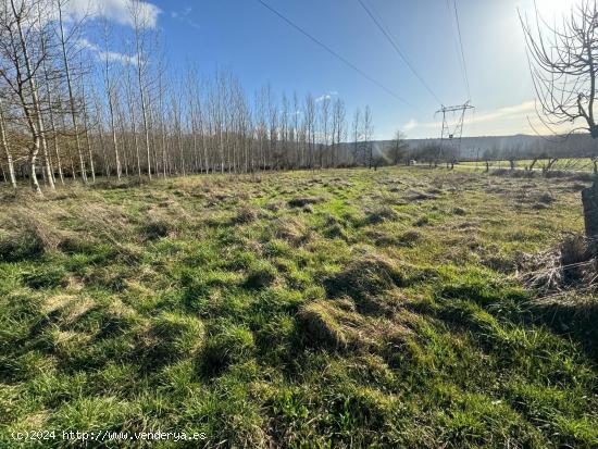 SE VENDE FINCA RÚSTICA EN DEHESAS - LEON