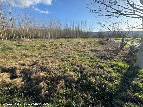 SE VENDE FINCA RÚSTICA EN DEHESAS - LEON