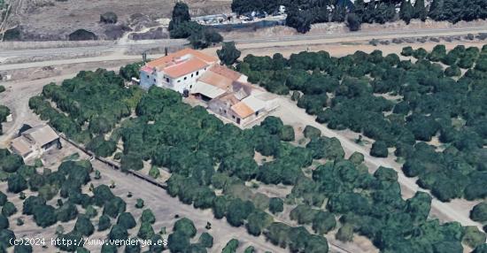 CORTIJO CON TERRENO DE 30 Ha. EN CÁRTAMA. MÁLAGA - MALAGA