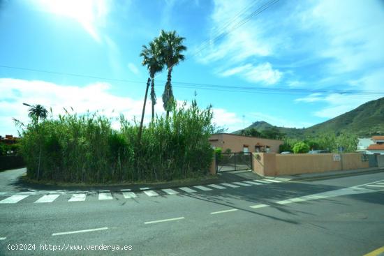  Oportunidad - Solar urbano en centro de Tegueste - SANTA CRUZ DE TENERIFE 