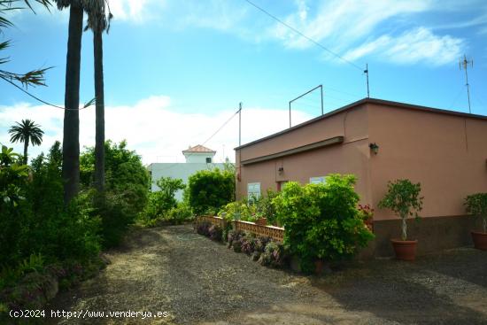 Oportunidad - Solar urbano en centro de Tegueste - SANTA CRUZ DE TENERIFE