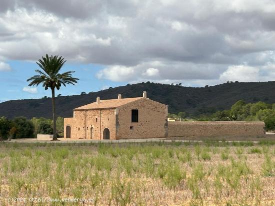 Porreres, se alquila finca rústica. - BALEARES