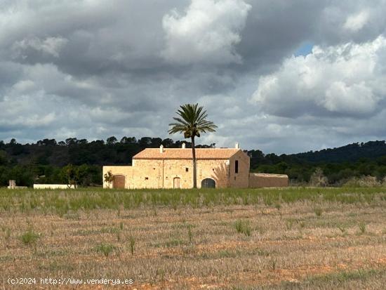 Porreres, se alquila finca rústica. - BALEARES