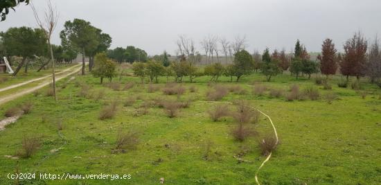  FINCA DE REGADÍO EN VENTA - MADRID 