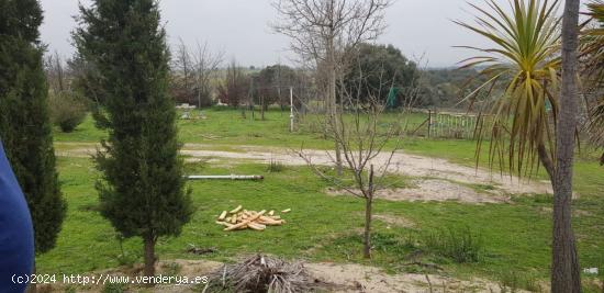 FINCA DE REGADÍO EN VENTA - MADRID