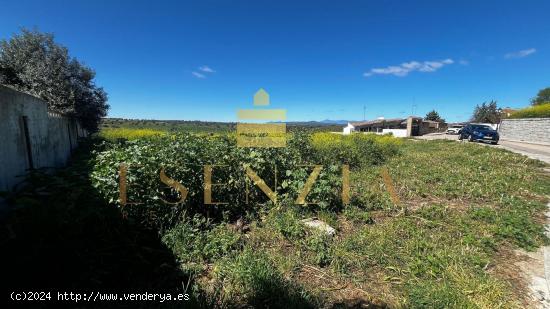 PARCELA CON VISTAS EN VILLAMANTILLA - MADRID