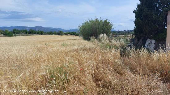 Terreno de 7.282 m2 con posibilidades de agua en Marraxinet - BALEARES