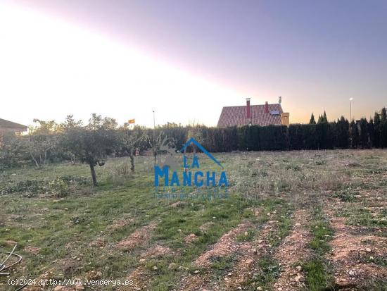 REF: C281 INMOBILIARIA LA MANCHA VENDE TERRENO URBANO EN URBANIZACION CAMPOALEGRE (ALBACETE) - ALBAC