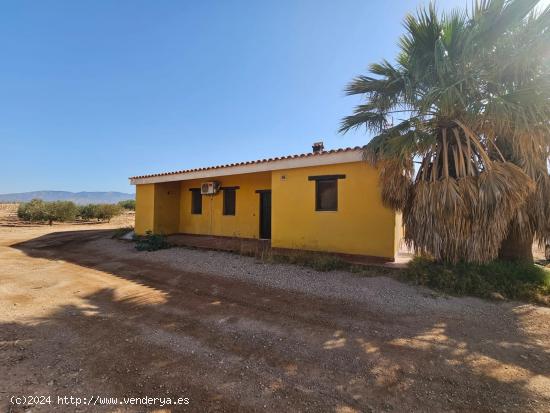  CASA DE CAMPO CON TERRENO EN LO JORGE, FUENTE ÁLAMO - MURCIA 