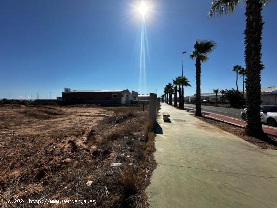  ¡OPORTUNIDAD! VENTA DE TERRENO EN POLÍGONO DE CARLET – CARRETERA DE LA CREU NEGRA - VALENCIA 