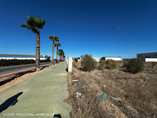 ¡OPORTUNIDAD! VENTA DE TERRENO EN POLÍGONO DE CARLET – CARRETERA DE LA CREU NEGRA - VALENCIA