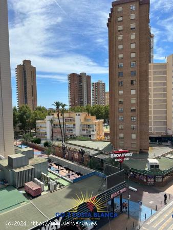 Se Vende en Benidorm - ALICANTE