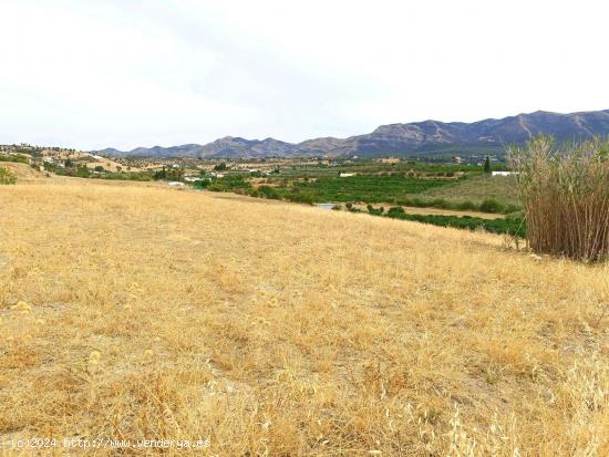 FINCA RUSTIVA CERCA DE CÁRTAMA. - MALAGA