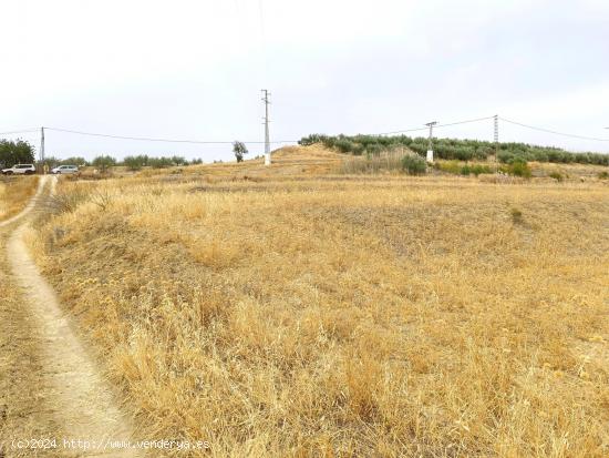 FINCA RUSTIVA CERCA DE CÁRTAMA. - MALAGA