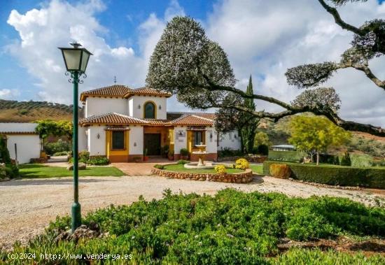  Finca de 74.000 m2 con cortijo rústico de 370 m2 del 2008, bien comunicado - MALAGA 