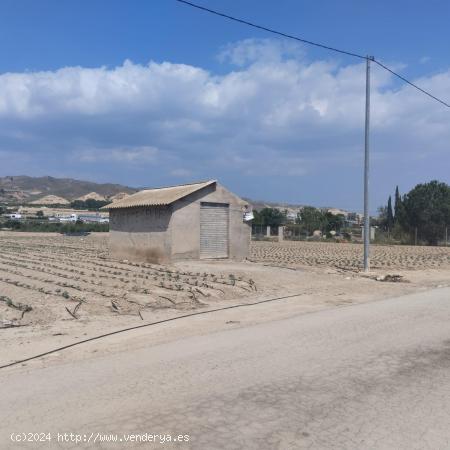 Terreno Agrario - Lébor, Totana - MURCIA