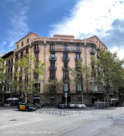 Oportunidad única en finca regia de la Dreta de l'Eixample - BARCELONA