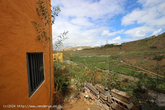  Se Vende en Las Palmas de Gran Canaria - LAS PALMAS 